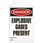 Safety Tag Danger Explosive Gases Present